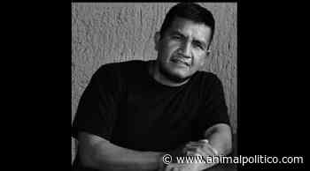 Asesinan en Cuernavaca al activista Rodrigo Morales Vázquez - Animal Político