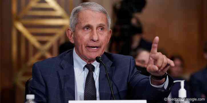 Fauci says it's too soon to tell whether holiday gatherings should be avoided