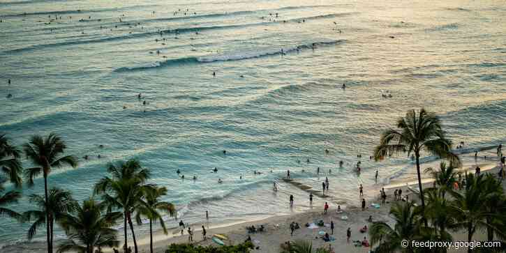 New York couple ditch their $15,000 wedding and splash out on four honeymoons instead
