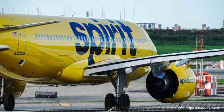 Spirit Airlines plane catches fire in New Jersey after a large bird strikes one of its engines as it tries to take off