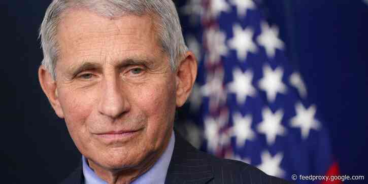 Fauci said people blaming immigrants for COVID-19 spread in the US need to 'face reality'