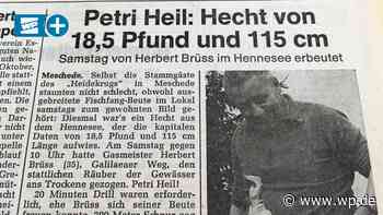 Meschede: Tödliches Unglück in St.-Georgs-Schützenhalle - WP News
