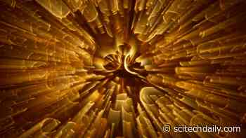 Using Synthetic Biology To Shed Light on “Biological Dark Matter”