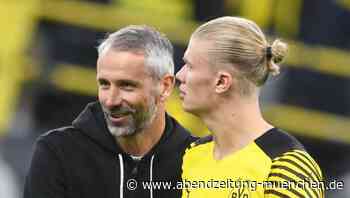 BVB bangt um Haaland - Rose: 'Signal an die Gruppe senden' - Abendzeitung