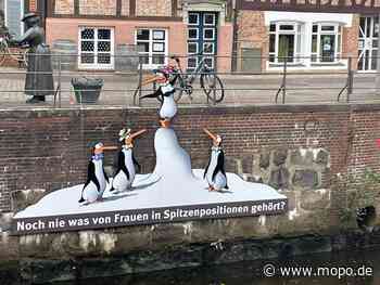 Sexistische Cartoons in der Innenstadt? Der Pinguin-Zoff von Stade - Hamburger Morgenpost