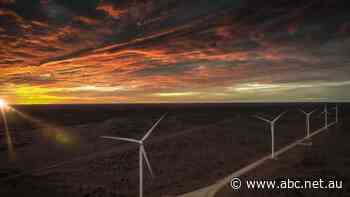 Gold goes green as WA mine tipped to run off 95 per cent renewable energy