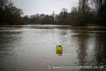 Met Office issue flood alert for River Roding in Epping Forest