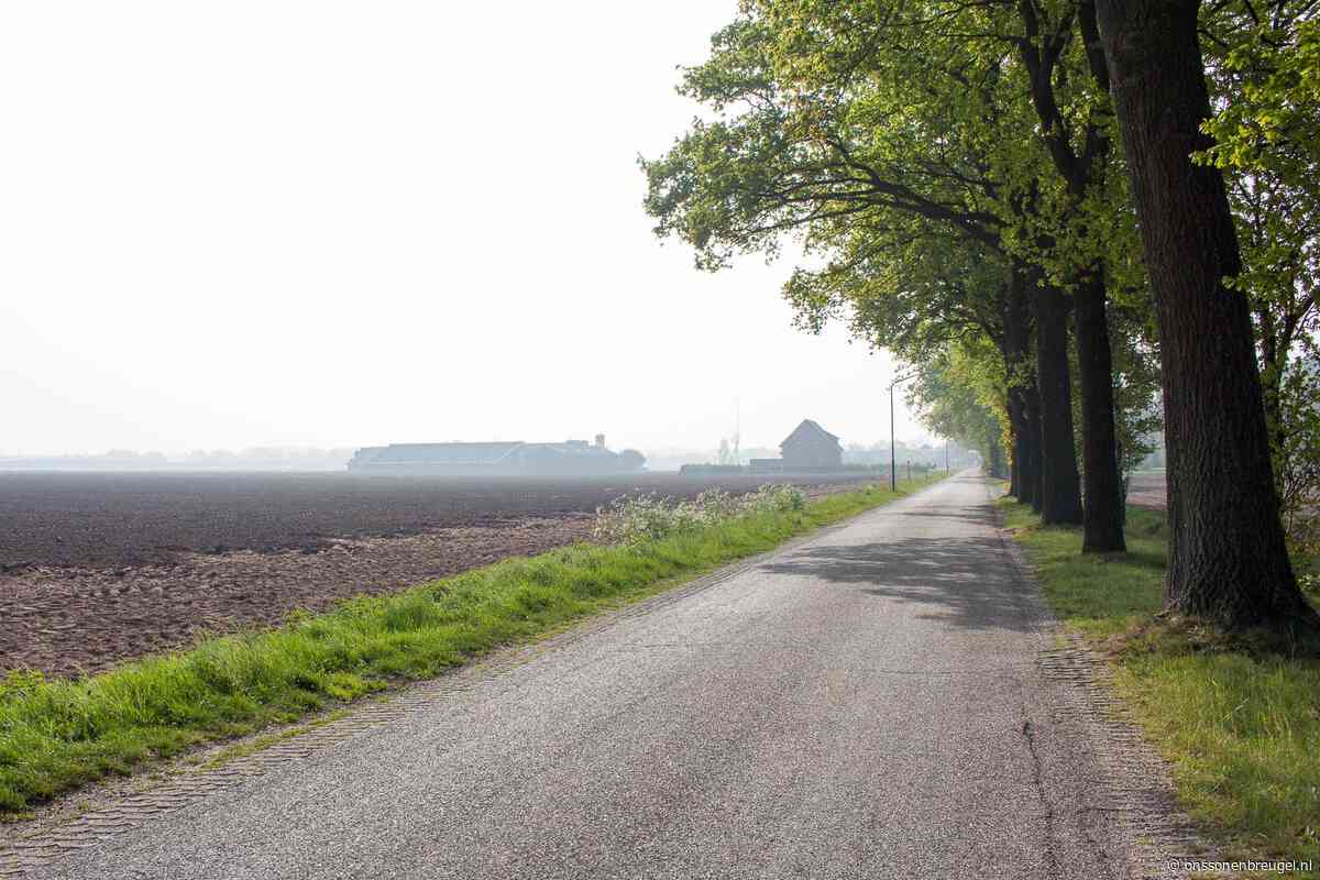 Gemeente kocht voor 4,6 miljoen euro twaalf hectare grond in Sonniuswijk - Ons Son en Breugel