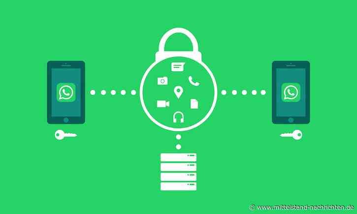 WhatsApp Business – Die Vor- und Nachteile