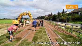 Bald ist die Linie 3 fertig: Rollrasen für die neue Straßenbahn nach Königsbrunn - Augsburger Allgemeine