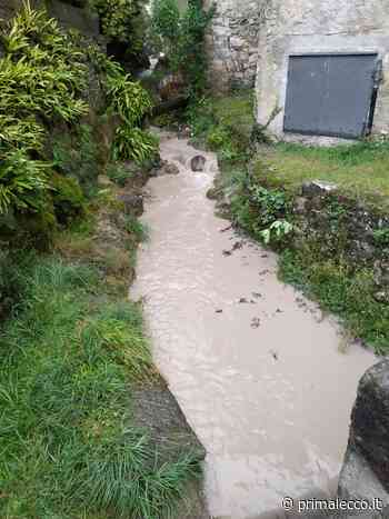 Comitato salviamo il Magnodeno: "Non va tutto bene" - Prima Lecco