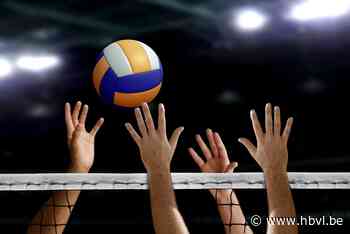 Wevoc blijft foutloos na verre verplaatsing naar Stekene - Het Belang van Limburg