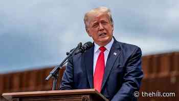 Grisham says it was 'mistake' to work for Trump
