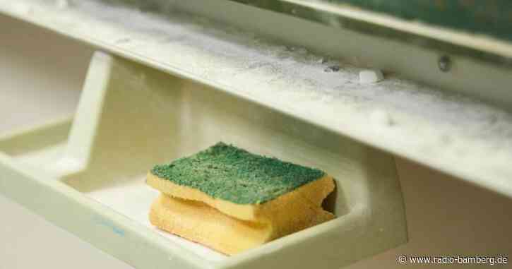 Opernsänger statt Lehrer: BLLV übt heftige Kritik