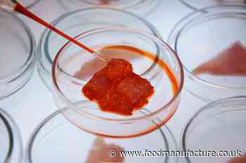 Alternative proteins: cultured meat versus insects