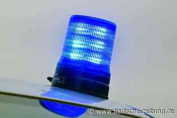 Vater kentert bei Bootstour mit Sohn in Kenzingen - Kenzingen - Badische Zeitung - Badische Zeitung