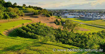 Pfannenstiel bewegt die Gemüter - Kenzingen - Badische Zeitung - Badische Zeitung