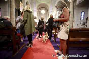 A Nice, les animaux bénis en l'église Sainte-Pierre-d'Arène - Nice-Matin