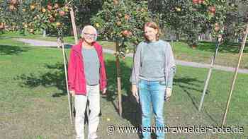 »Apfel-Feschdle« in Walddorf: Traditionsveranstaltung fällt kleiner aus