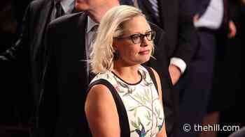 Biden: 'Not appropriate' for protesters to follow Sinema into bathroom