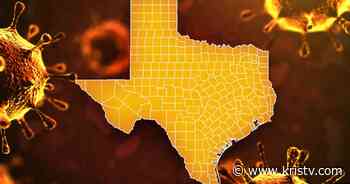 State and local coronavirus pandemic statistics - KRIS Corpus Christi News