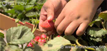 Following a Young California Farm Worker in 'Fruits of Labor' Trailer