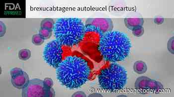 FDA OKs First CAR T-Cell Therapy for Adult ALL