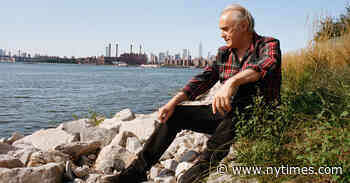 Oyster Shoreline at ‘Greater New York’ Has a Pearl of a Message