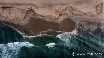Beaches closed and cleanup underway after oil spill off California destroys wildlife habitats