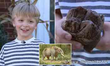 Boy, 6, finds mastodon tooth while hiking at Michigan's Dinosaur Hill Nature Preserve