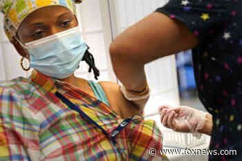 New York's largest private health care provider fired 1,400 employees who refused the vaccine
