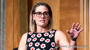NY Times' Maureen Dowd mocked for chiding Sinema over obstructing bill when Biden 'really needs a win'