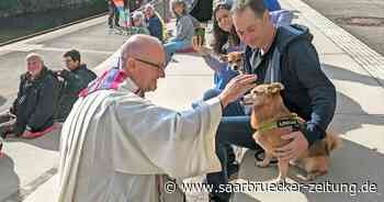 Tiersegnung am Momentum auf der Bliespromenade in Neunkirchen - Saarbrücker Zeitung