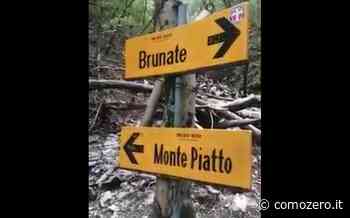 VIDEO Allerta temporali e nubifragi per il Comasco. Il consigliere Erba: "Sopra Blevio troppi detriti pronti ad arrivare a valle" - ComoZero