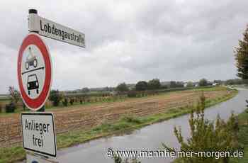 Parkverbot in der Lobdengaustraße - Hirschberg - Nachrichten und Informationen - Mannheimer Morgen