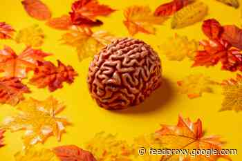 The Seasons Are Changing and So Is Your Brain