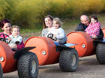 Gloucesters Over Farm set to launch new Countryside Adventure attraction - SoGlos