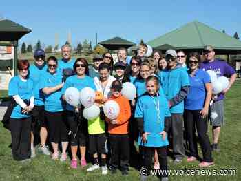 Walk to support St. Clair County Suicide Prevention Committee - New Baltimore Voice Newspapers