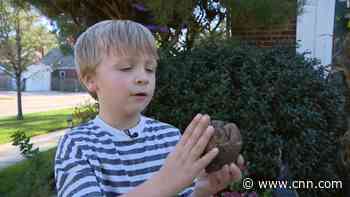 6-year-old discovers a prehistoric fossil in a creek