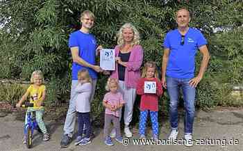 Ein Zuhause für Schwalben - Breisach - Badische Zeitung