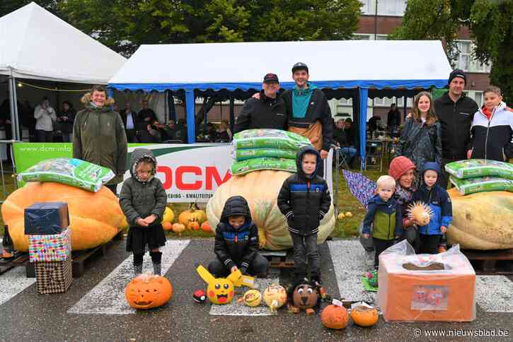 Grootste pompoen van KWB Kattenbos weegt 345,6 kg