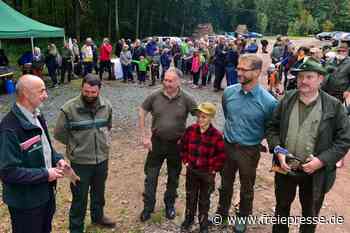Erlebnis Natur: Erkundung im Rossauer Wald - Freie Presse