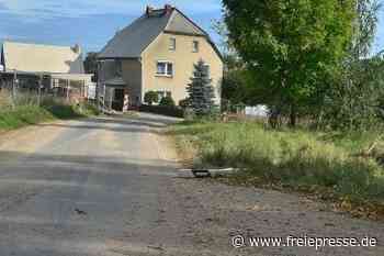 Schwerverletzter bei Kollision mit Baum - Freie Presse