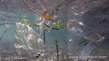 Intempéries à Marseille: des tonnes de déchets emportées à la mer, "une catastrophe"