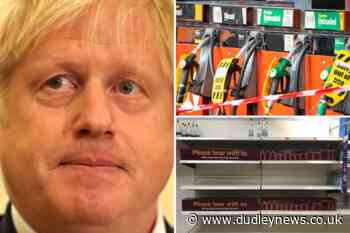 'Nightmare' Christmas predicted with UK shortages set to 'last for months' | Dudley News - Dudley News