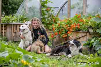 ZOMERREEKS. 'Hondenfluisteraar' Didier bezorgt viervoeters u... (Nijlen) - Gazet van Antwerpen