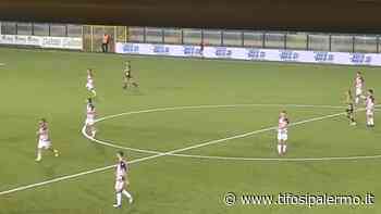 Palermo, la vetta adesso è più lontana: Bari distante sette punti - TifosiPalermo