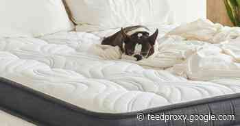 The best gel mattresses of 2021     - CNET