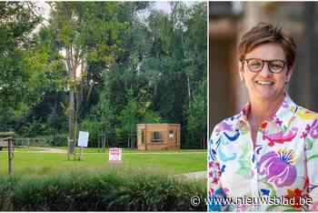 50.000 bloembollen om bijen door winter te helpen: “Maar iedereen zal hiervan genieten” - Het Nieuwsblad