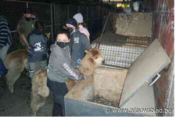 Alle dossiers rond dierenmishandeling in een keer voor rechter: “Geval bij waar vinken werden gesmokkeld in sigarettenpakjes”